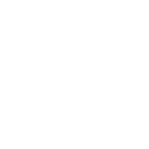 icons8 location 500 2